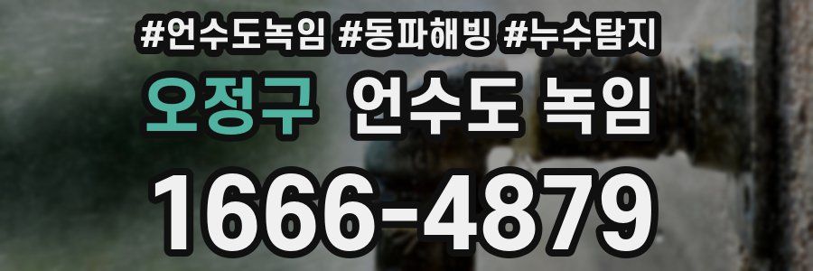 오정구 언수도 녹임