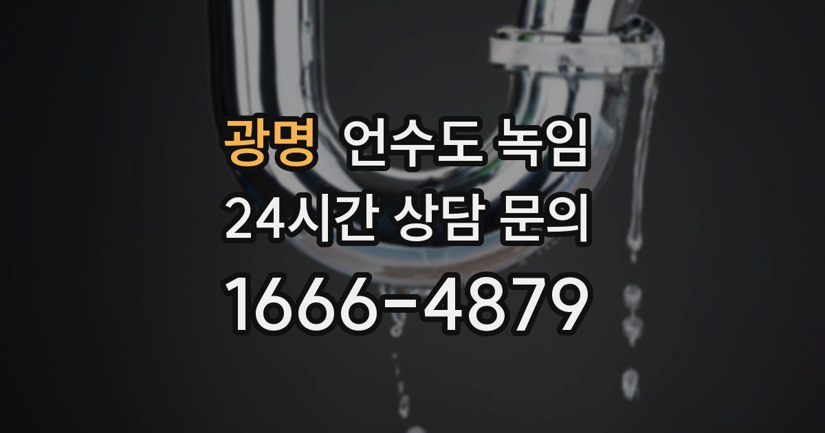 광명 언수도 녹임