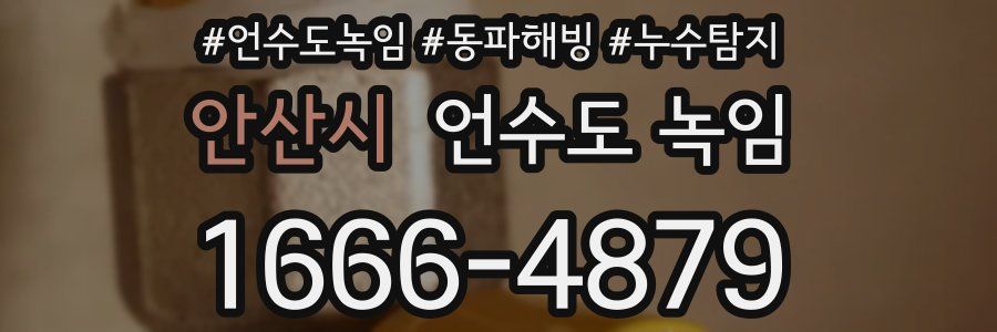 안산시 언수도 녹임
