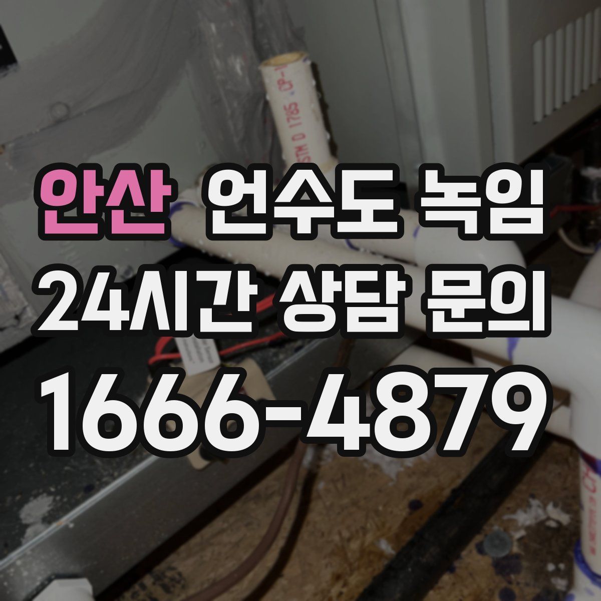 안산 언수도 녹임