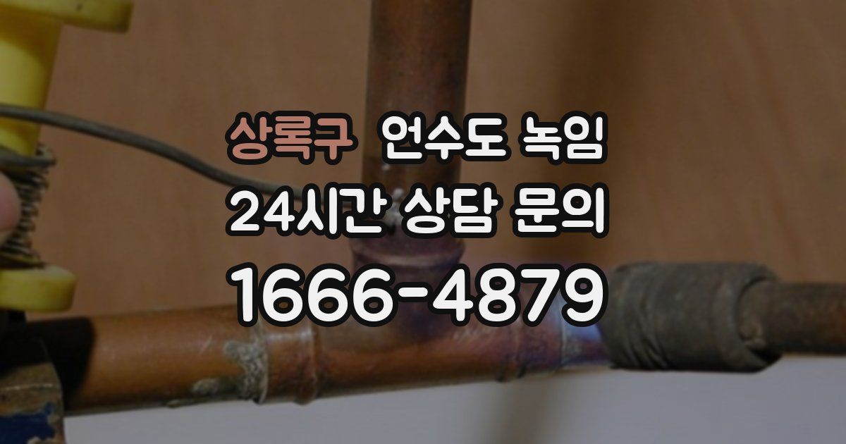 상록구 언수도 녹임