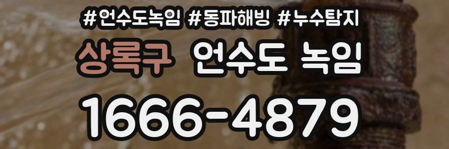 상록구 언수도 녹임