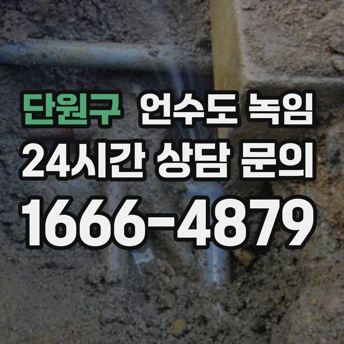 단원구 언수도 녹임