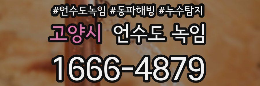 고양시 언수도 녹임
