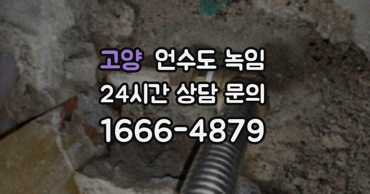 고양 언수도 녹임