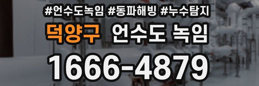 덕양구 언수도 녹임