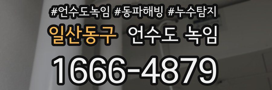 일산동구 언수도 녹임