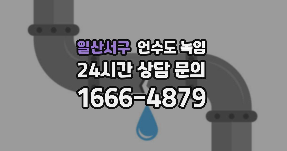 일산서구 언수도 녹임