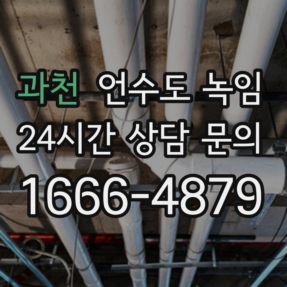 과천 언수도 녹임