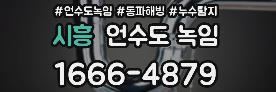 시흥 언수도 녹임