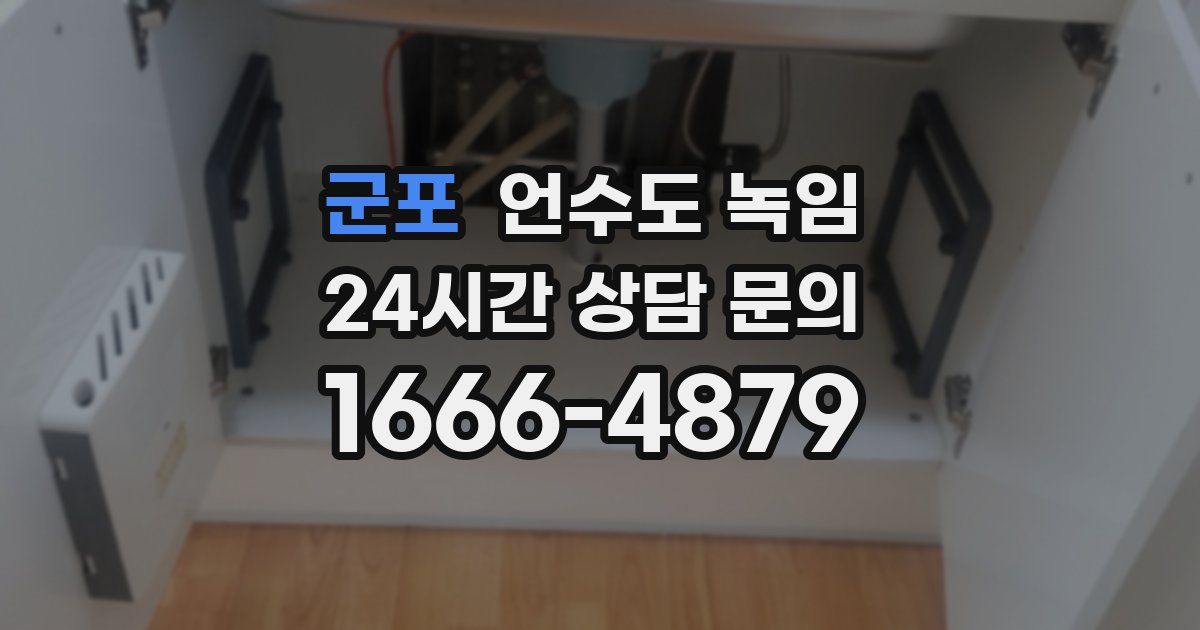 군포 언수도 녹임