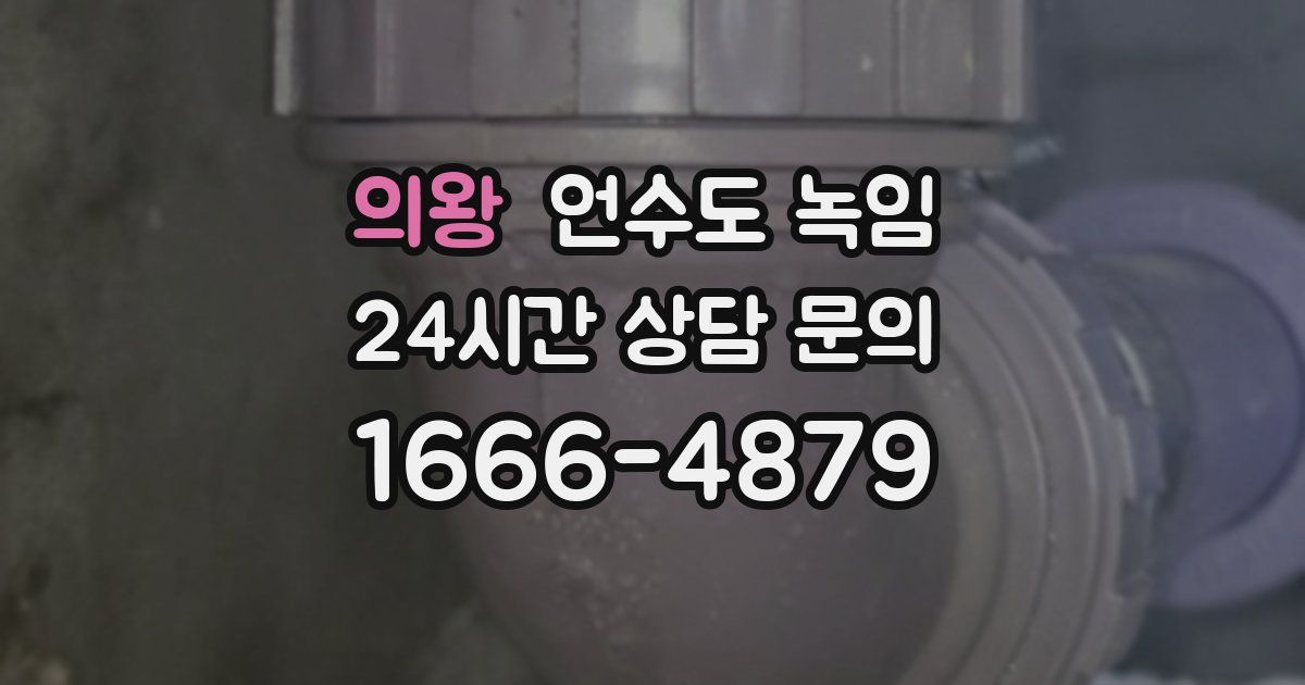 의왕 언수도 녹임