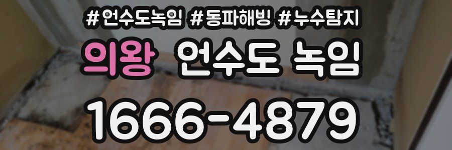 의왕 언수도 녹임