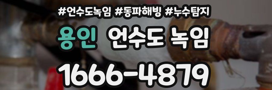 용인 언수도 녹임