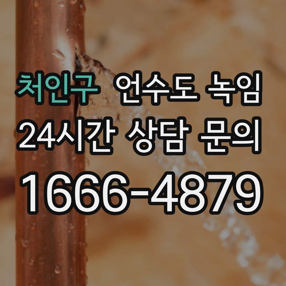 처인구 언수도 녹임