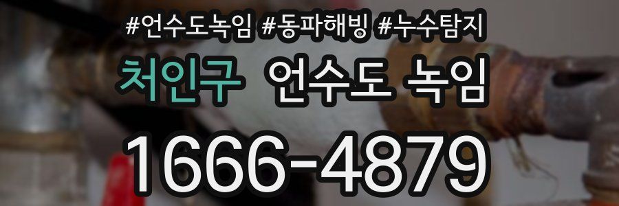 처인구 언수도 녹임