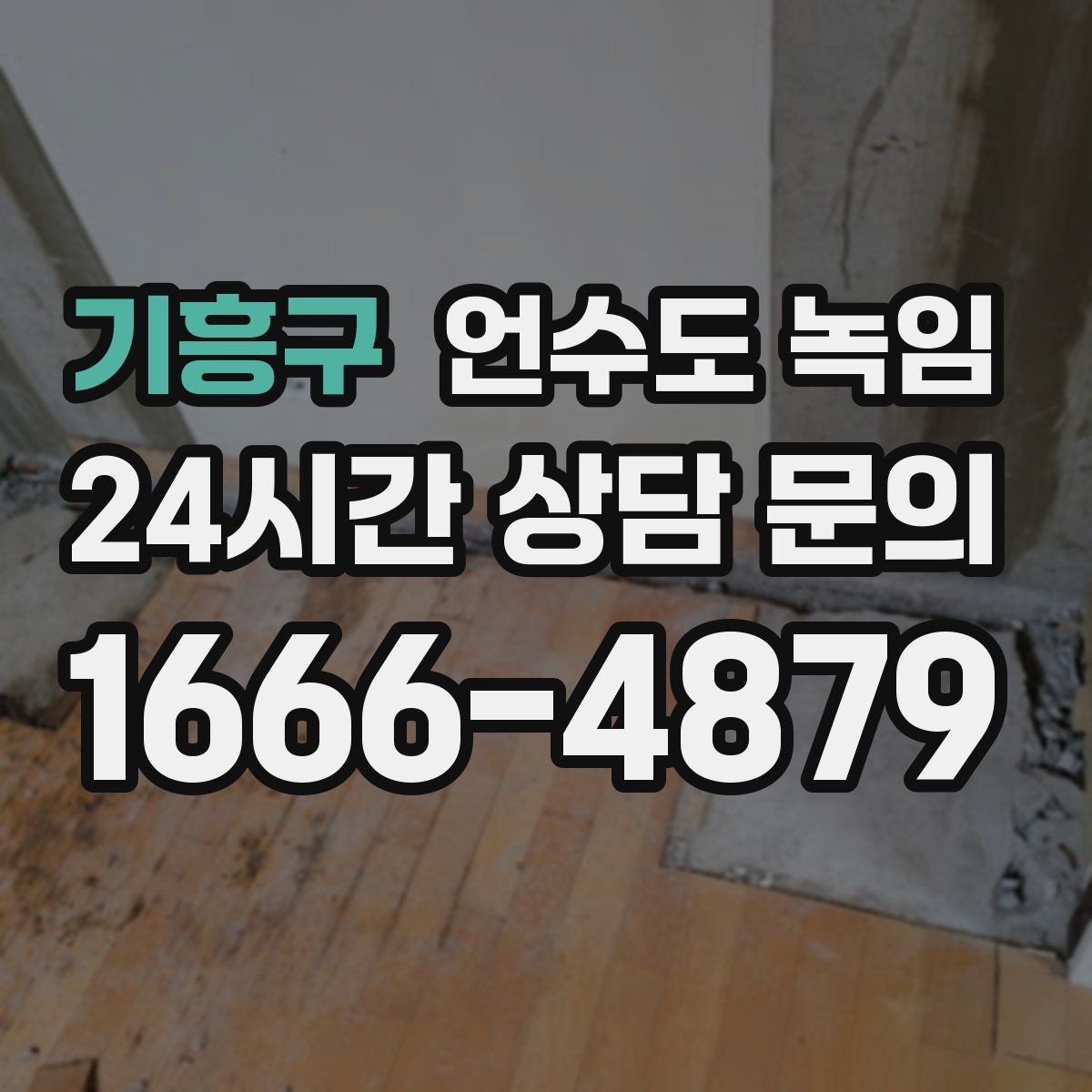 기흥구 언수도 녹임