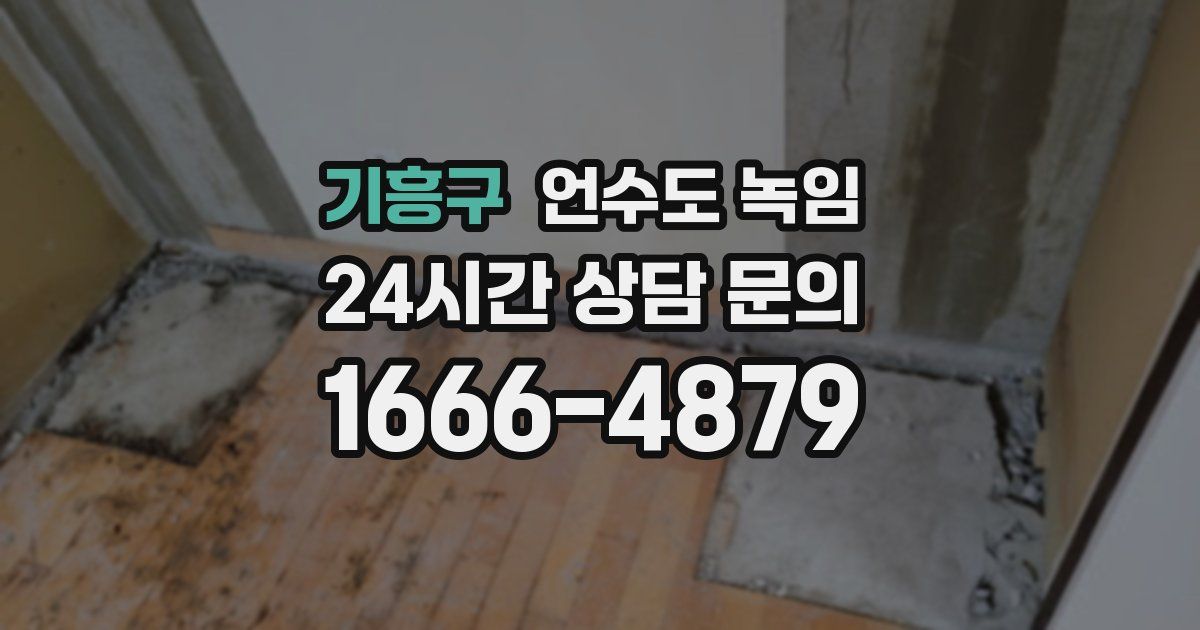 기흥구 언수도 녹임