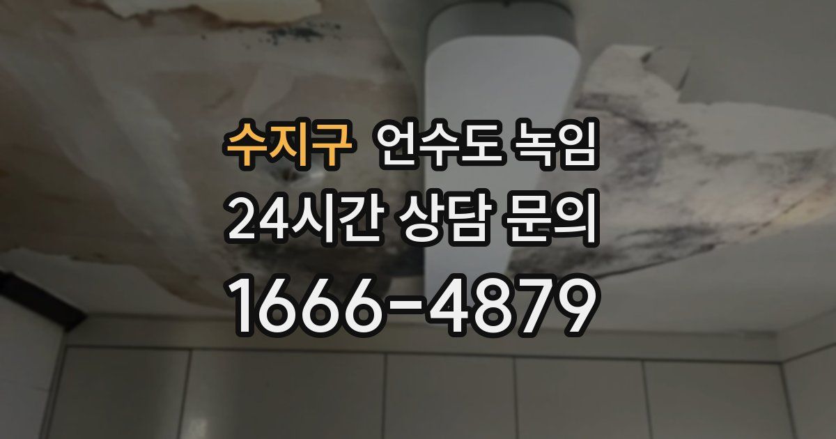 수지구 언수도 녹임