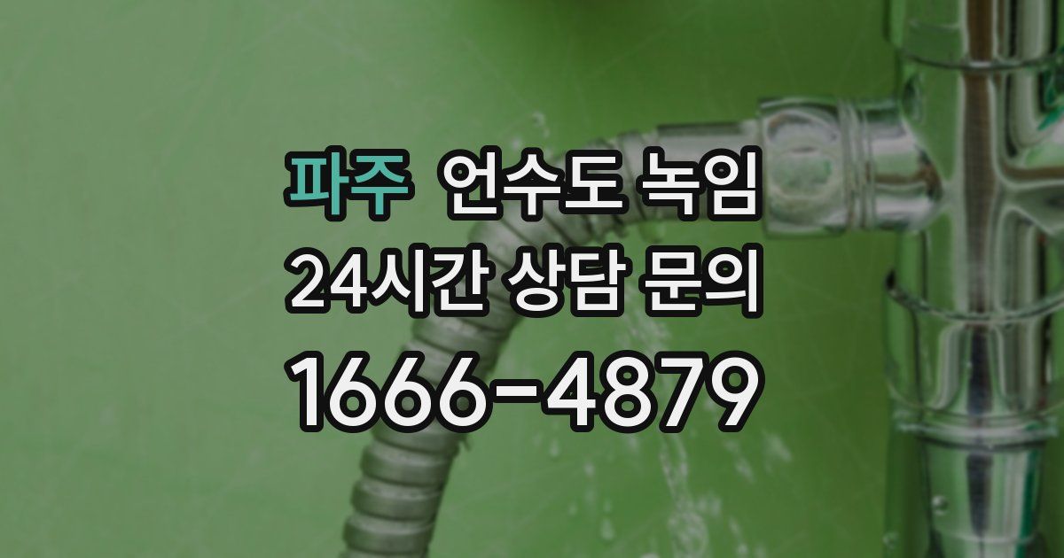 파주 언수도 녹임