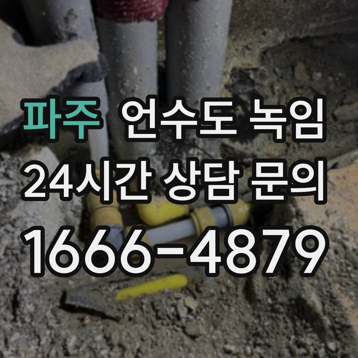 파주 언수도 녹임