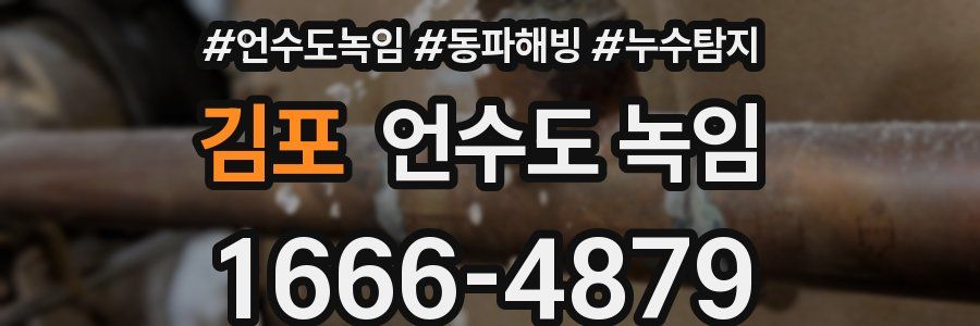 김포 언수도 녹임