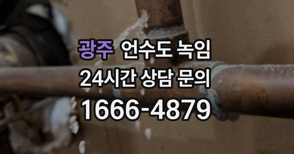 광주 언수도 녹임