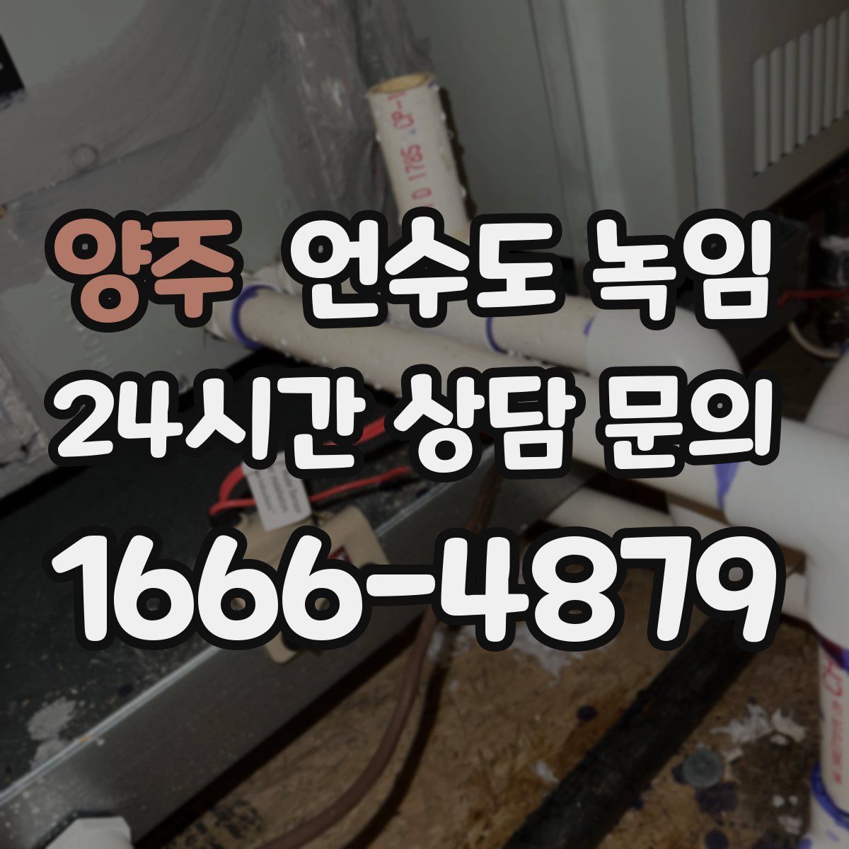 양주 언수도 녹임