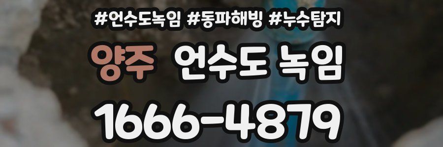 양주 언수도 녹임