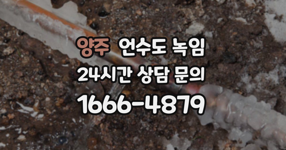 양주 언수도 녹임