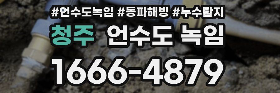 청주 언수도 녹임