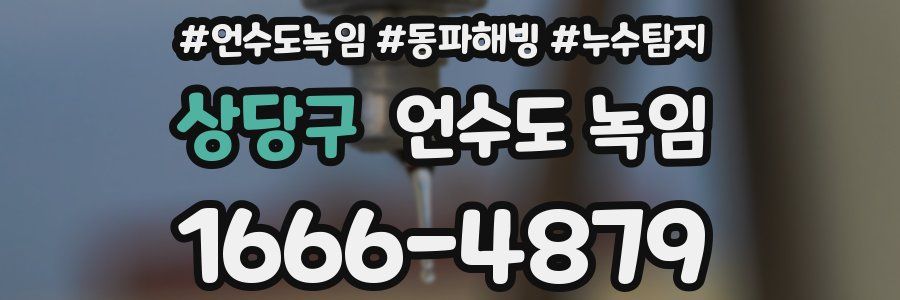 상당구 언수도 녹임