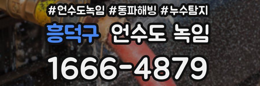 흥덕구 언수도 녹임