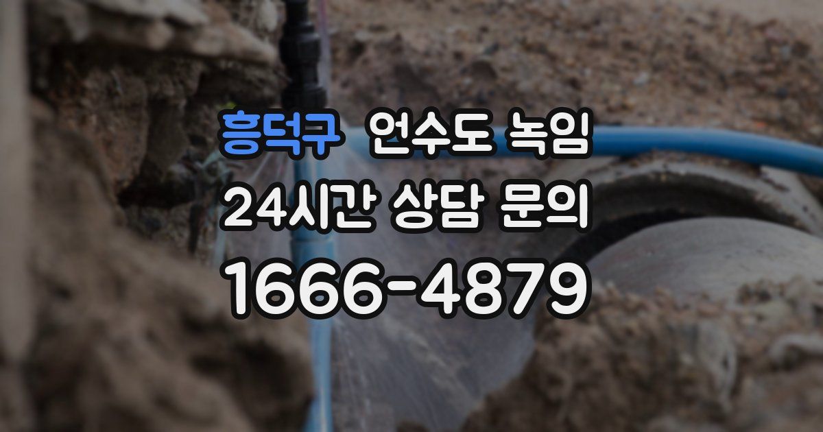 흥덕구 언수도 녹임