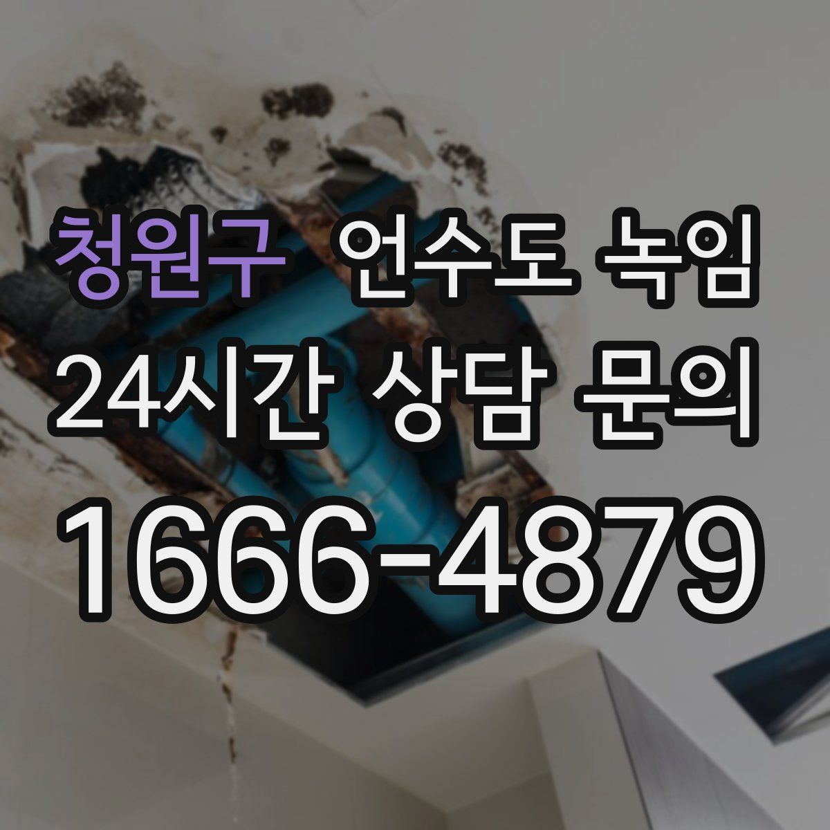 청원구 언수도 녹임