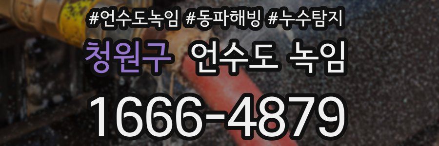 청원구 언수도 녹임