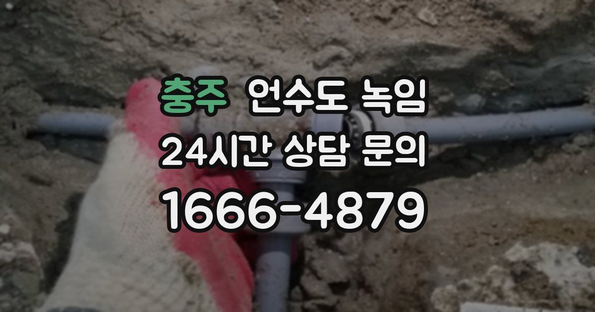 충주 언수도 녹임