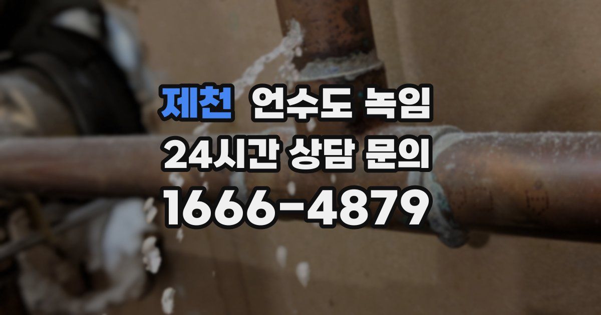 제천 언수도 녹임