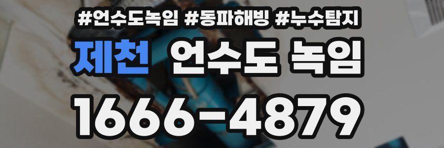 제천 언수도 녹임