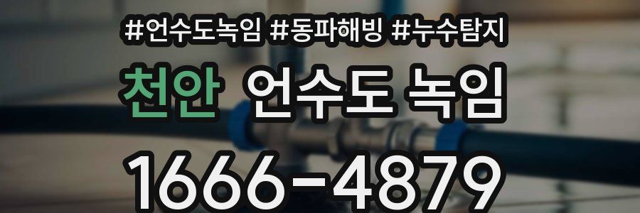 천안 언수도 녹임