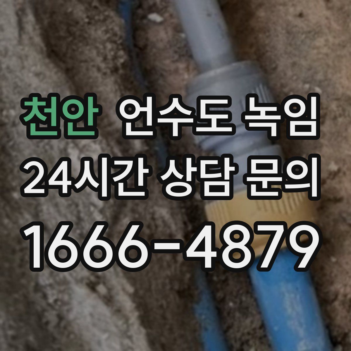 천안 언수도 녹임