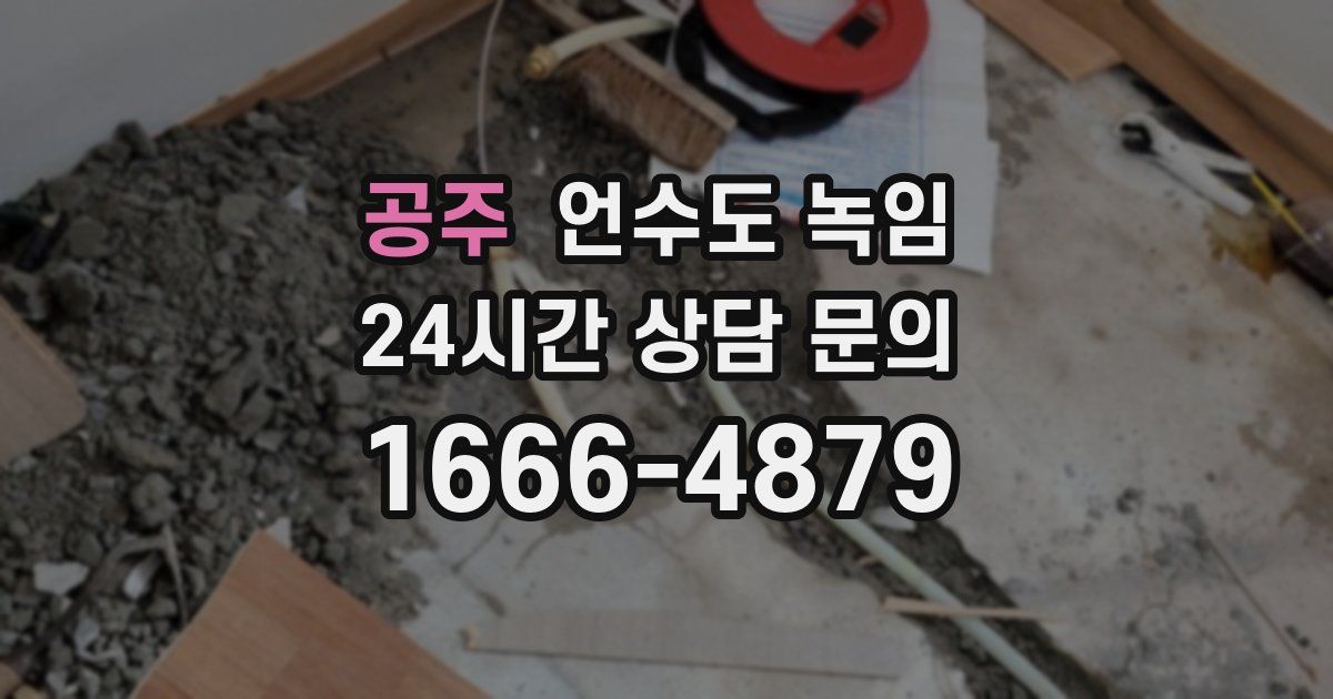 공주 언수도 녹임