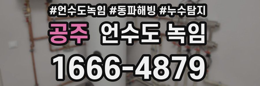 공주 언수도 녹임