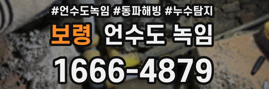 보령 언수도 녹임