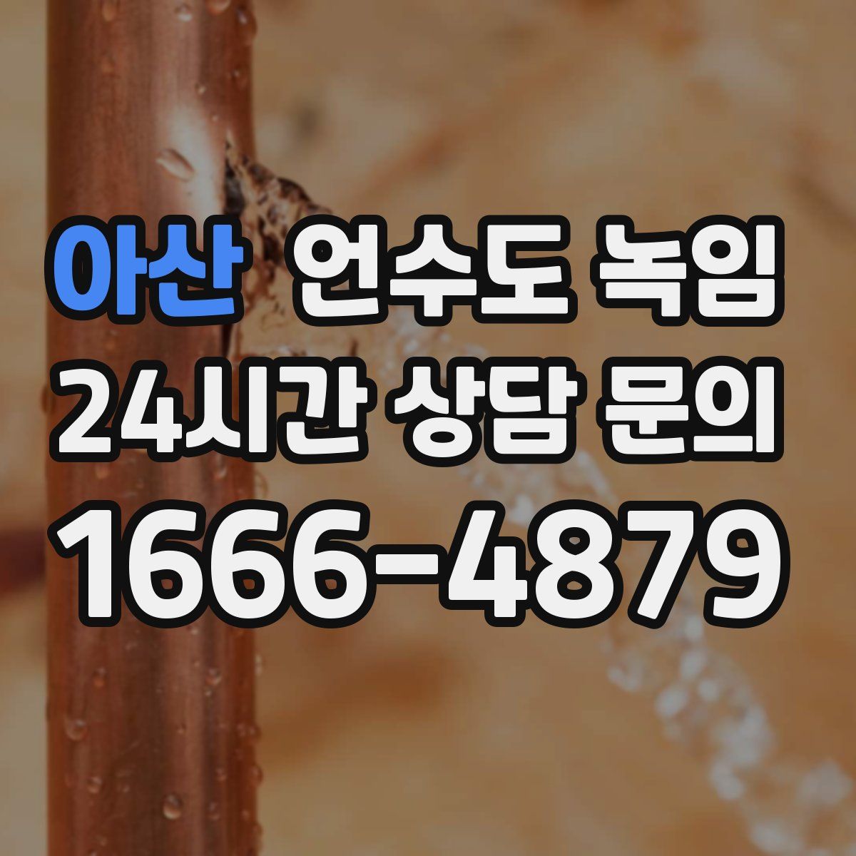 아산 언수도 녹임