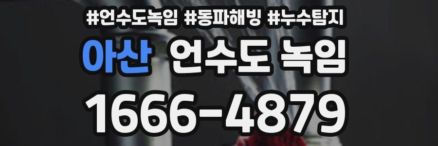 아산 언수도 녹임