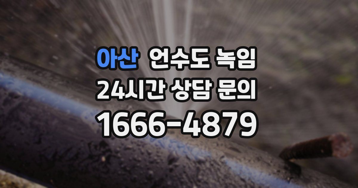 아산 언수도 녹임