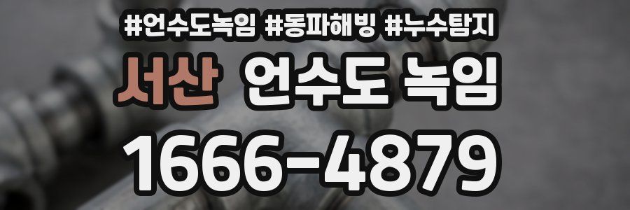 서산 언수도 녹임