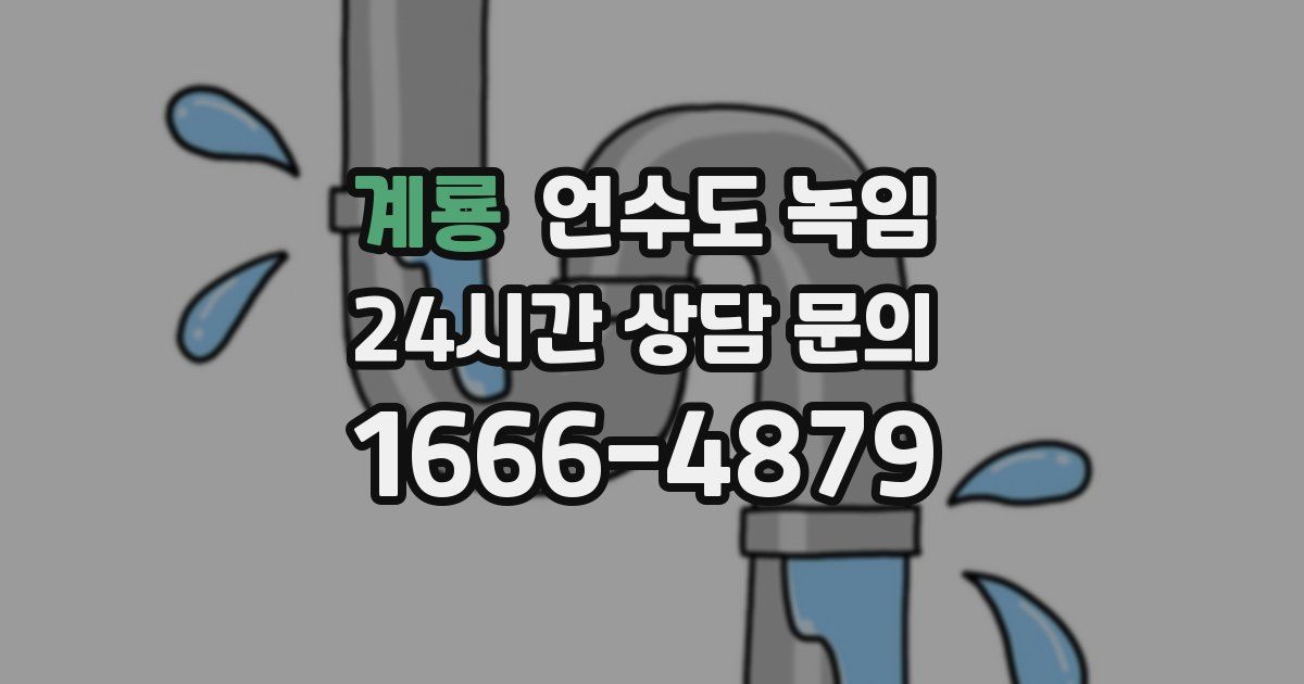 계룡 언수도 녹임