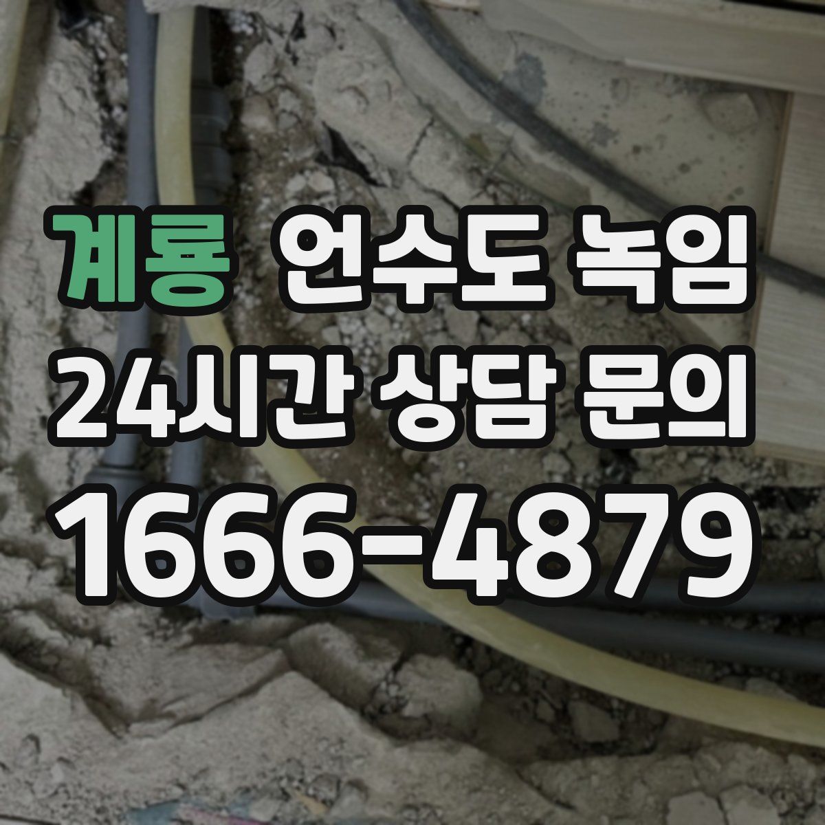 계룡 언수도 녹임